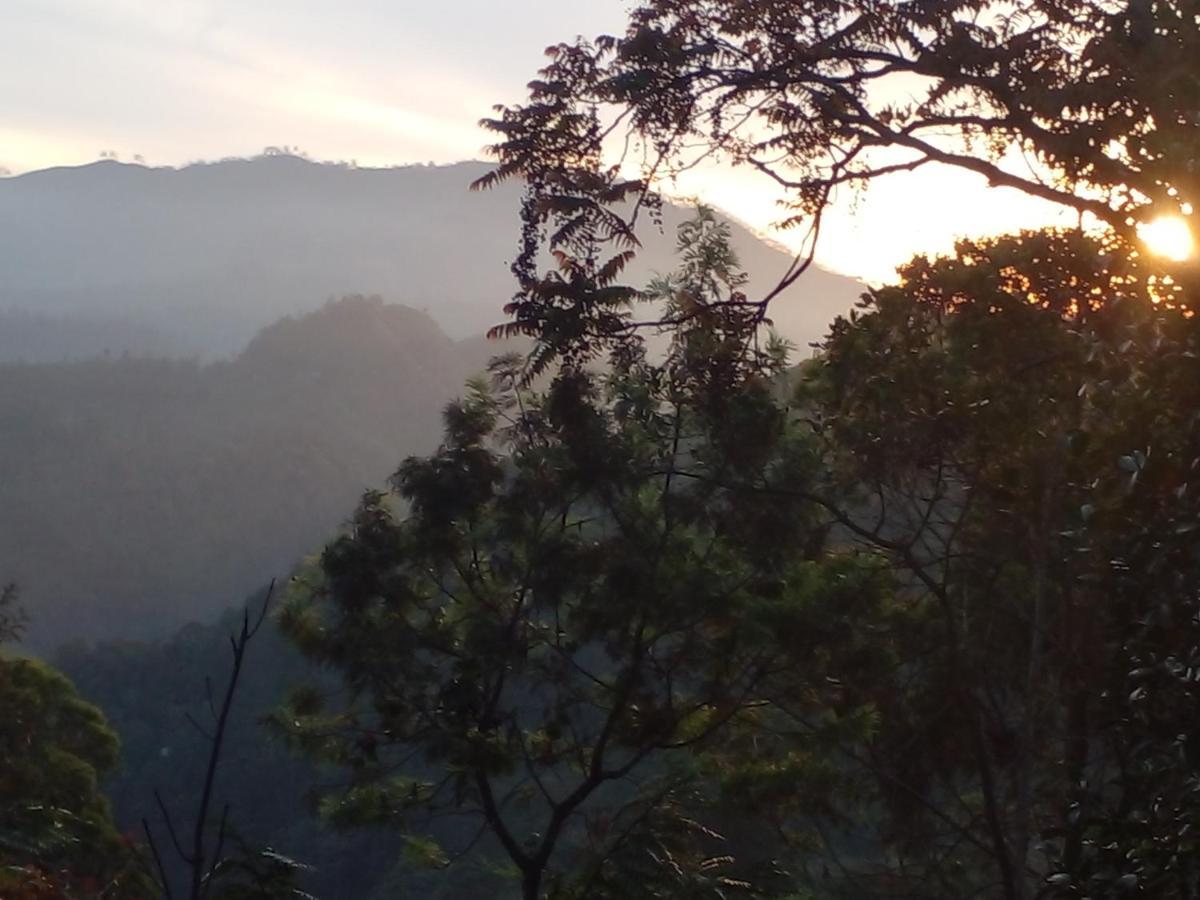 Racy Nature Cottage Ella Ngoại thất bức ảnh