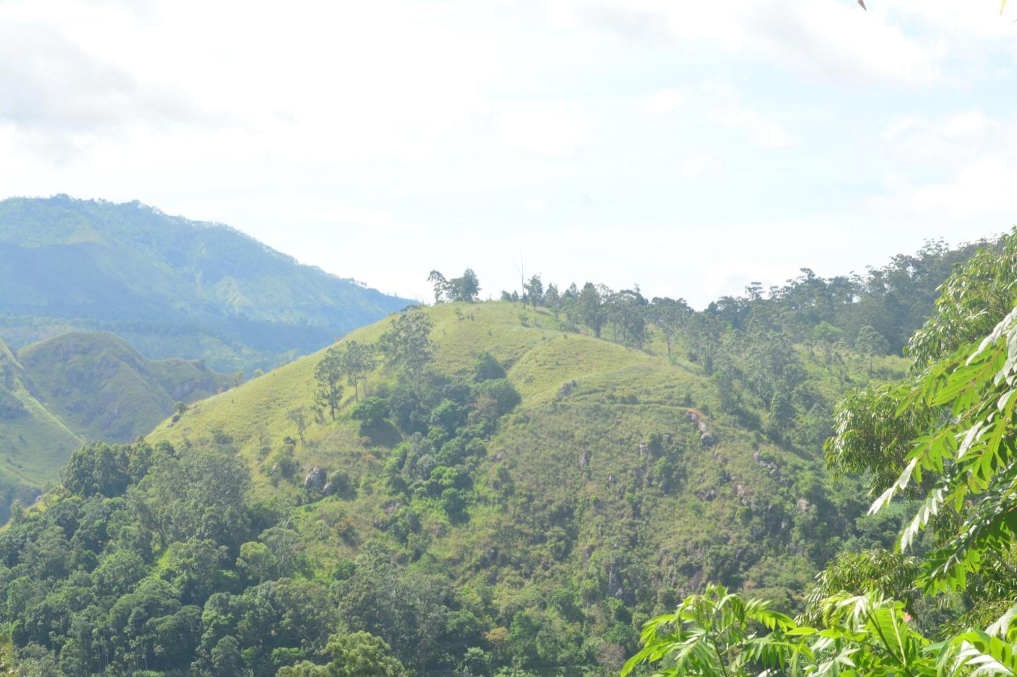Racy Nature Cottage Ella Ngoại thất bức ảnh