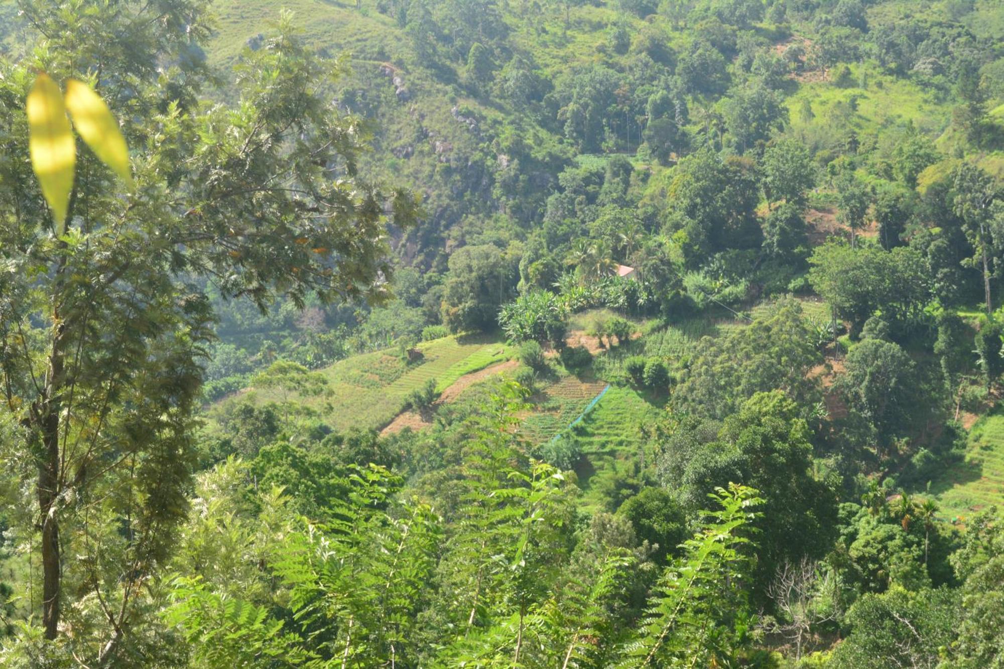 Racy Nature Cottage Ella Ngoại thất bức ảnh