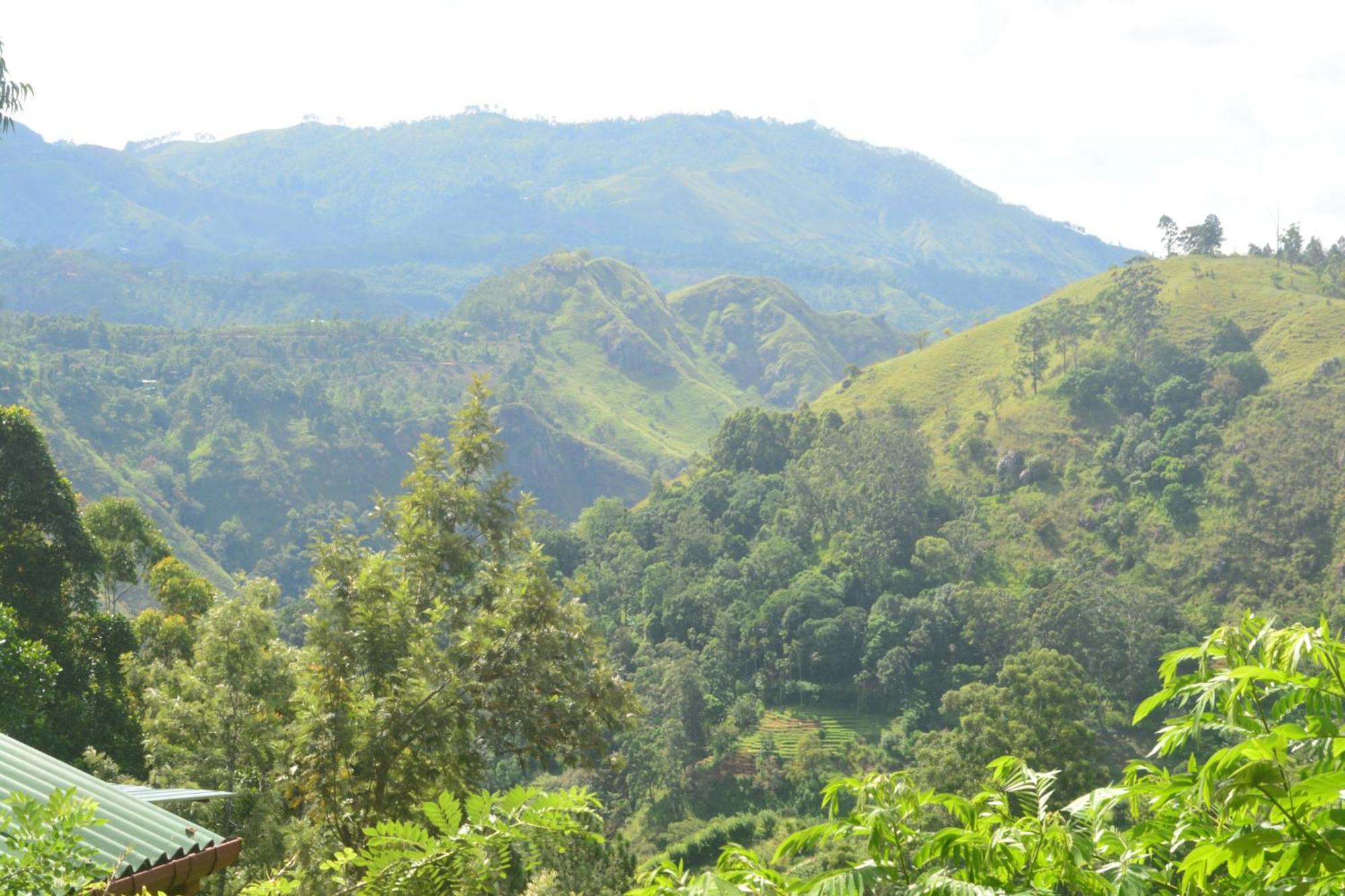Racy Nature Cottage Ella Ngoại thất bức ảnh