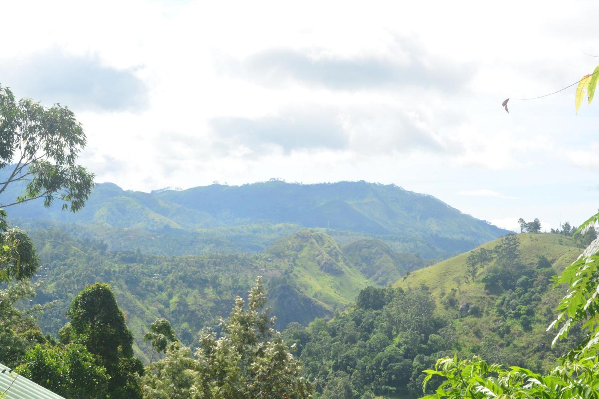 Racy Nature Cottage Ella Ngoại thất bức ảnh