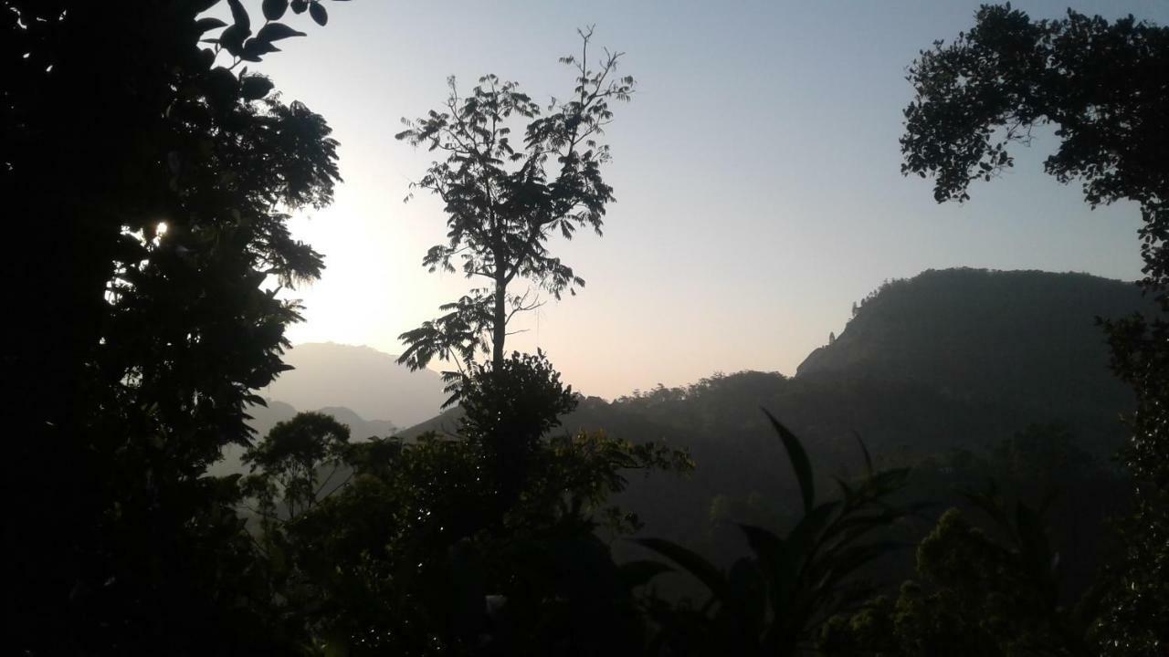 Racy Nature Cottage Ella Ngoại thất bức ảnh