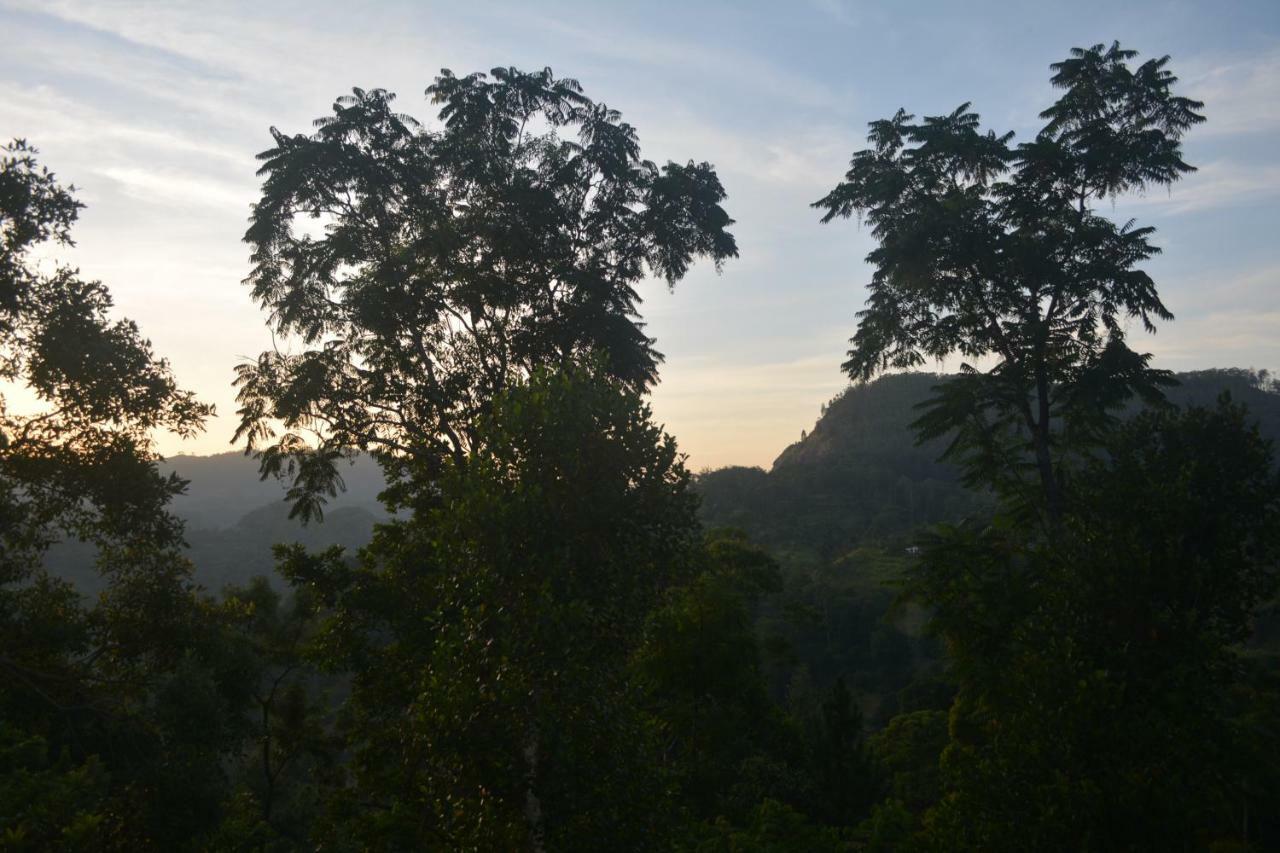 Racy Nature Cottage Ella Ngoại thất bức ảnh