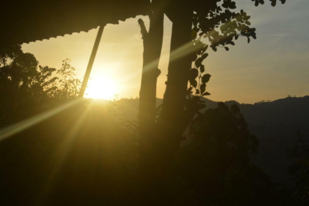 Racy Nature Cottage Ella Ngoại thất bức ảnh