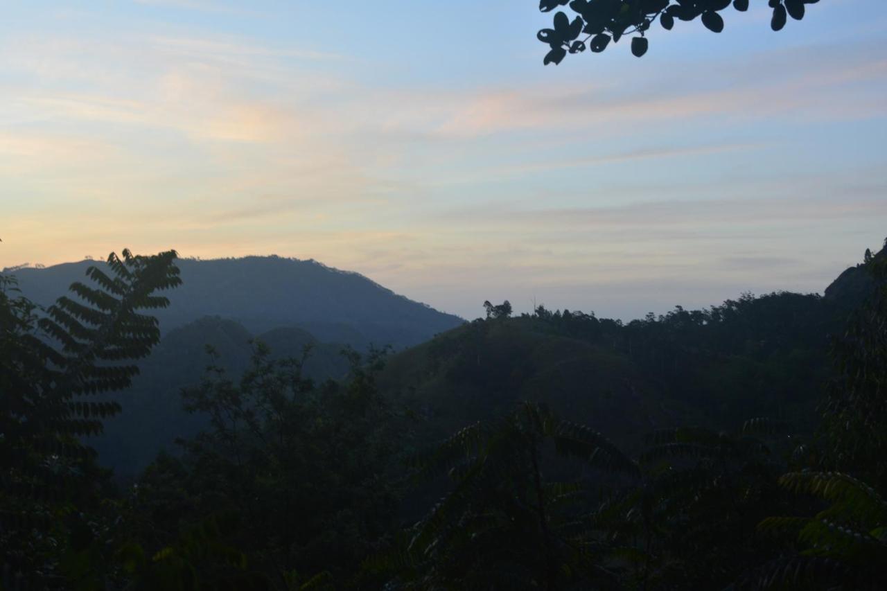 Racy Nature Cottage Ella Ngoại thất bức ảnh